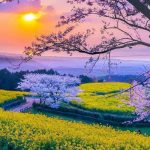 دانلود آهنگ مرد میخانه منم خراب و دیوانه منم مست از قاسم فاضلی